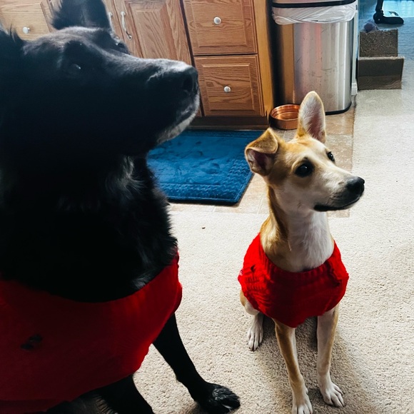 George & Luke 🖤💛 - Picture 7 of 8